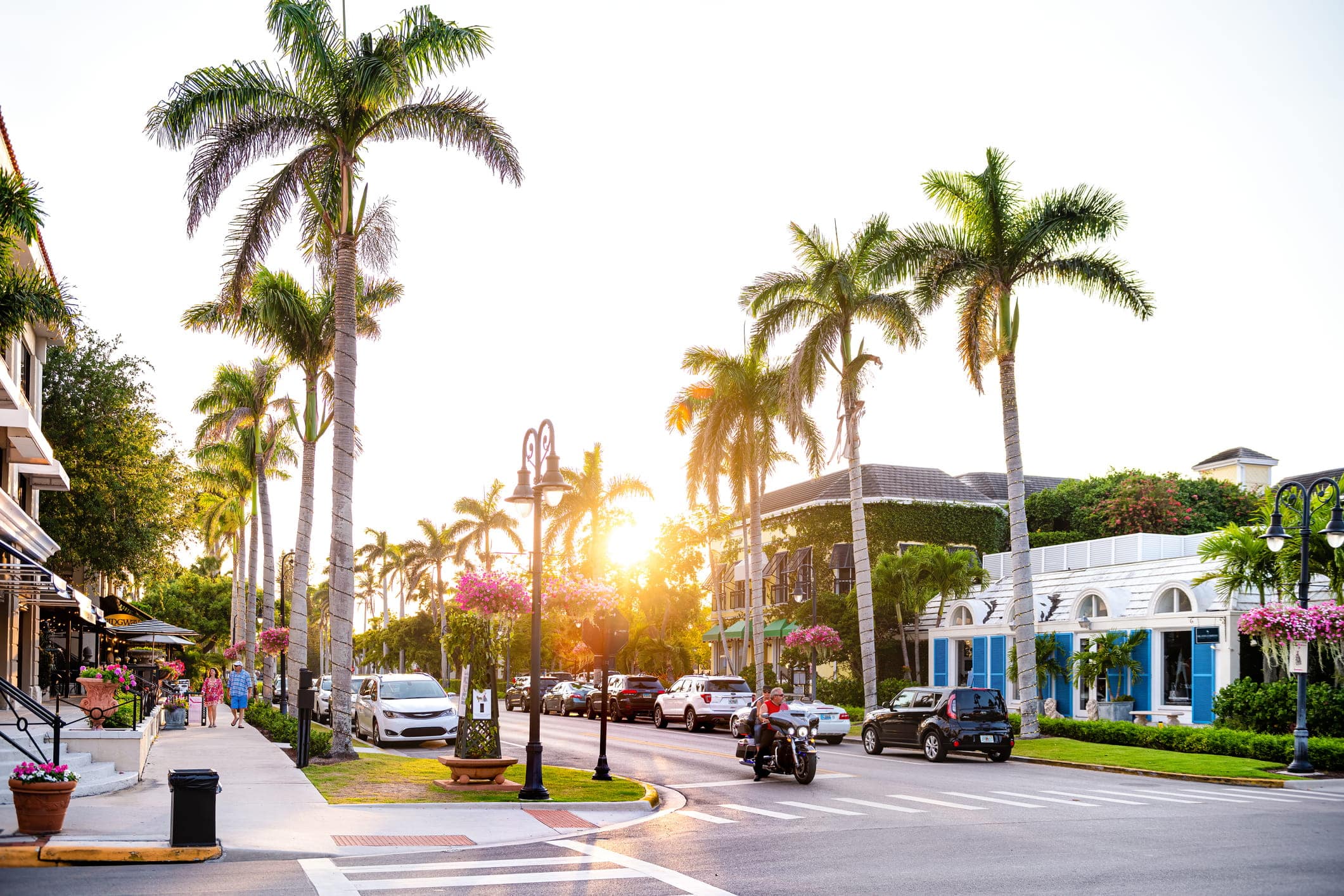 Naples, USA - April 29, 2018: Palm trees with street road in Florida downtown beach city town during sunset with sunlight, cars and people